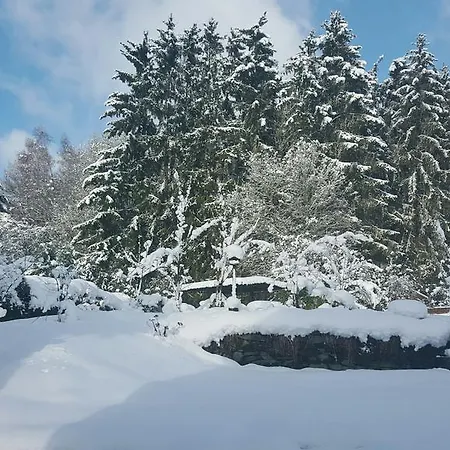 La Pommeraie Bed & Breakfast Sainte-Ode