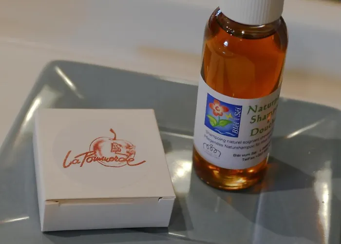 住宿加早餐酒店 拉普梅亚住宿加早餐酒店 Sainte-Ode